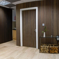 Acoustic Doors