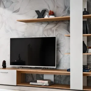 eco-modern-tv-wall-unit